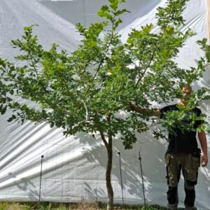 Vintereg – nr. 25-21 d