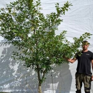 Vintereg – nr. 25-22 c