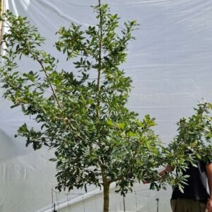 Vintereg – nr. 25-24 d