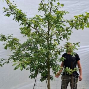 Vintereg – nr. 25-25 d