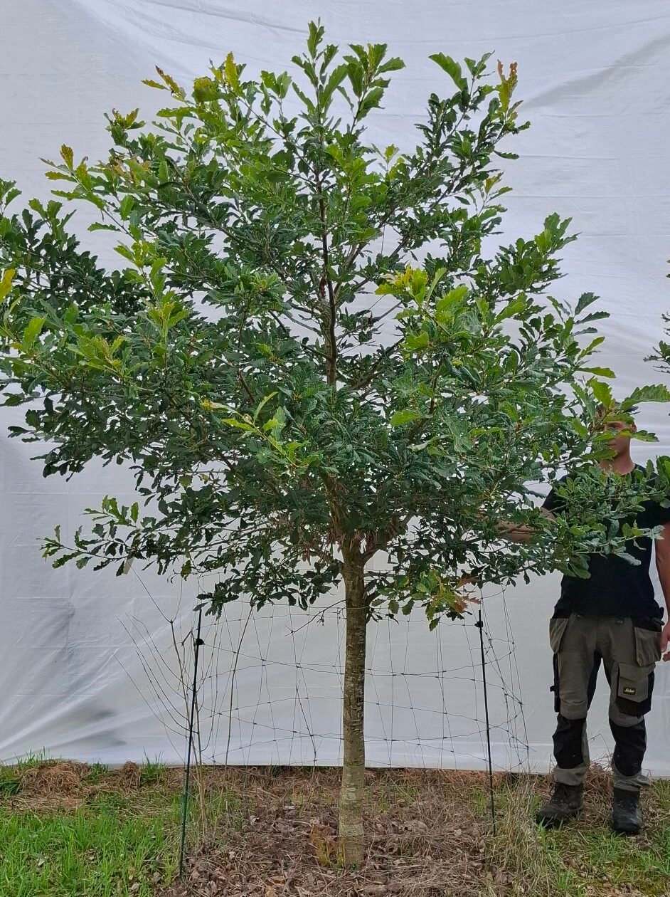 Vintereg – nr. 25-26 d