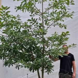 Vintereg – nr. 25-29 c