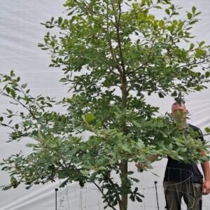 Vintereg – nr. 25-32 f