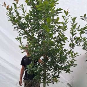 Vintereg – nr. 25-34 f