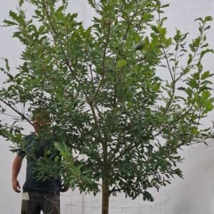 Vintereg – nr. 25-35 f