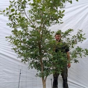 Vintereg – nr. 25-39 e