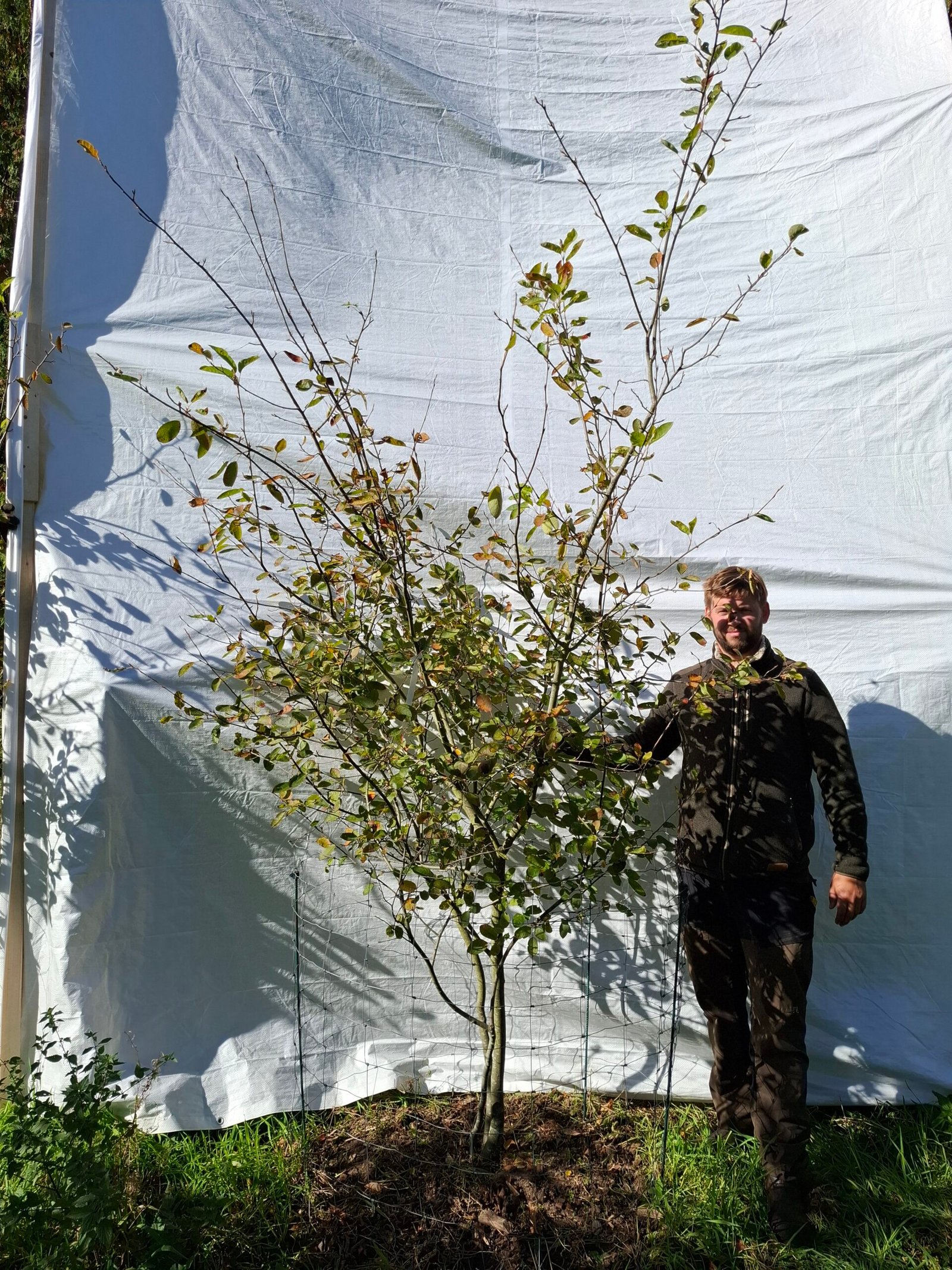 Bærmispel – nr. 25-99