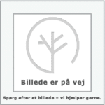 Stenhøjgårdstæer logo