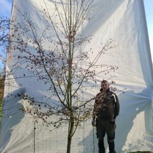 Hvidtjørn  – nr. 25-294